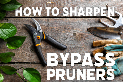 Beginner's Guide to Sharpening Bypass Pruners